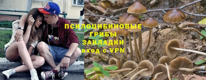 продажа наркотиков  Палласовка  Псилоцибиновые грибы MAGIC MUSHROOMS 